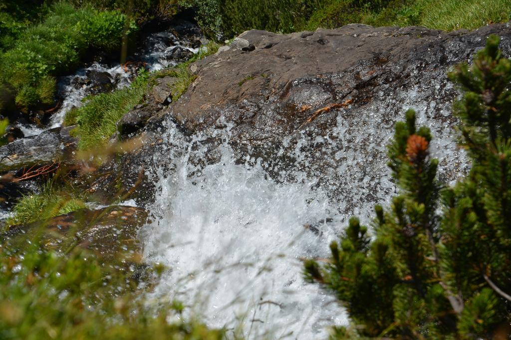 Pension Am Rain Neustift im Stubaital Exterior foto